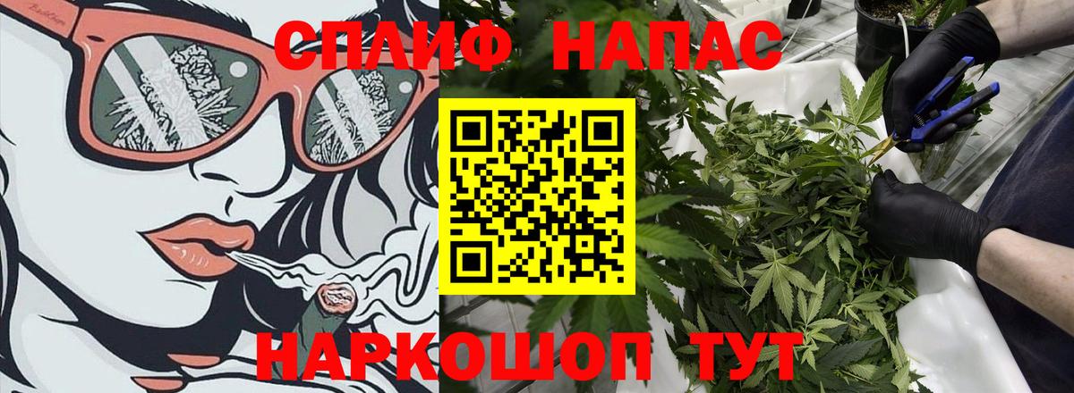 Заинск  МАРИХУАНА конопля  МАРИХУАНА марихуана  Марихуана THC 21%  Вход с VPN  Канабис White Widow 